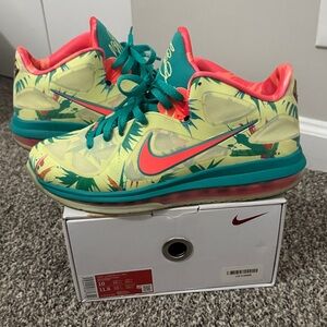 Nike LeBron 9 low “LeBronold Palmer' men’s 10 used